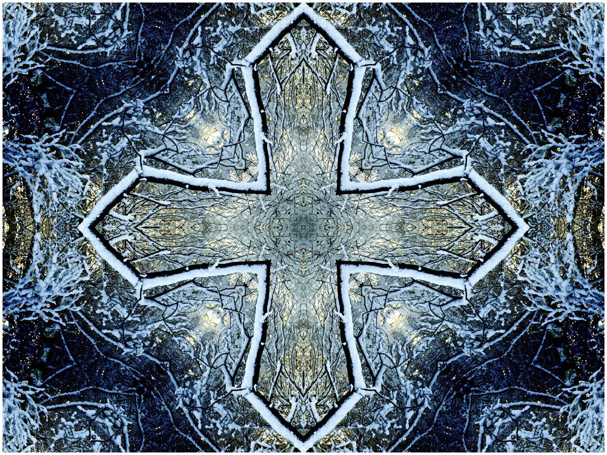 TreesKaleidoscope